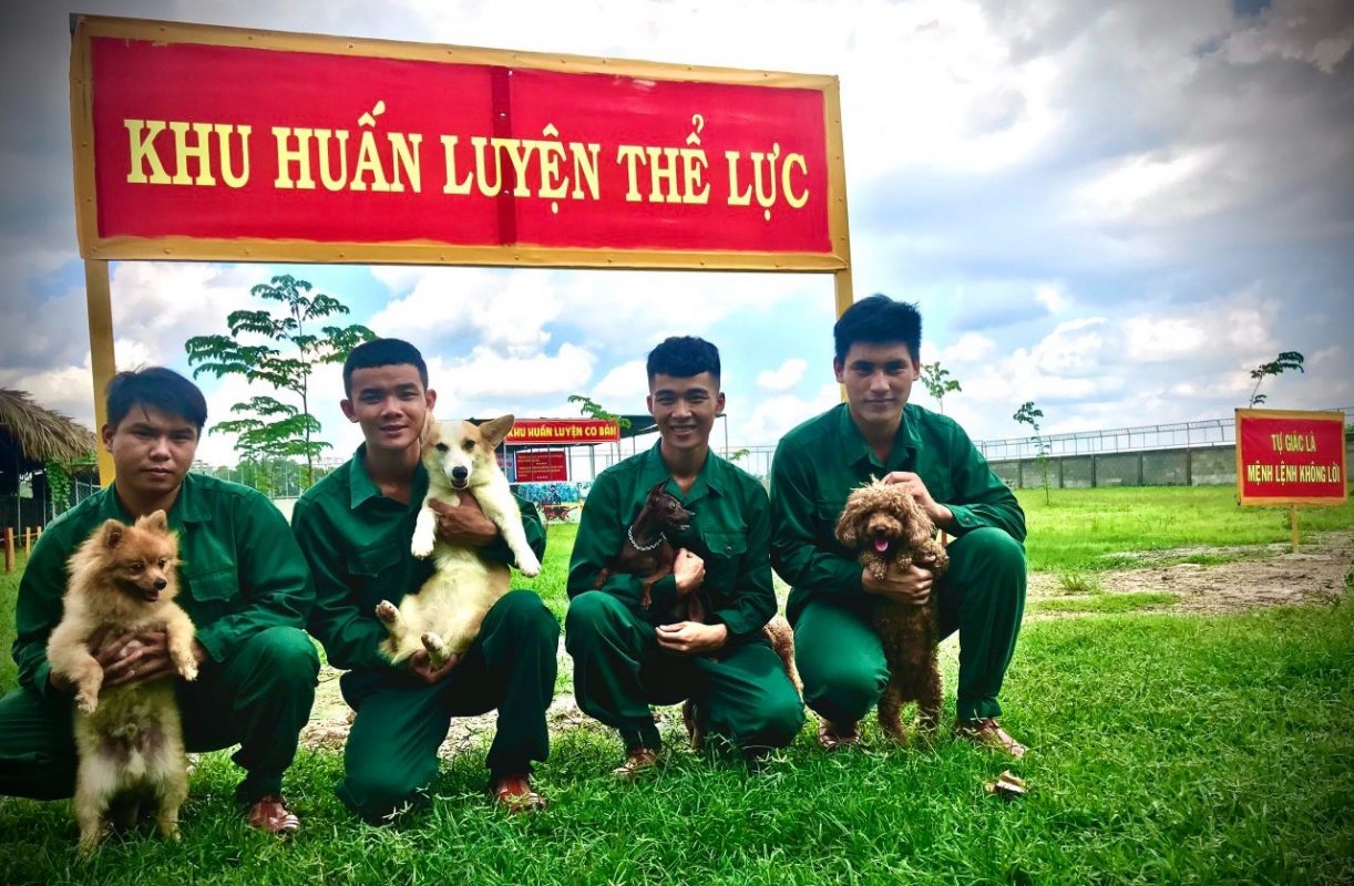 Trung tâm huấn luyện chó tphcm doi ngu huan luyen cho