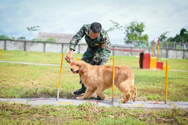 truong huan luyen cho tphcm