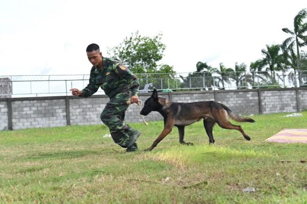 trung tam huan luyen cho tphcm