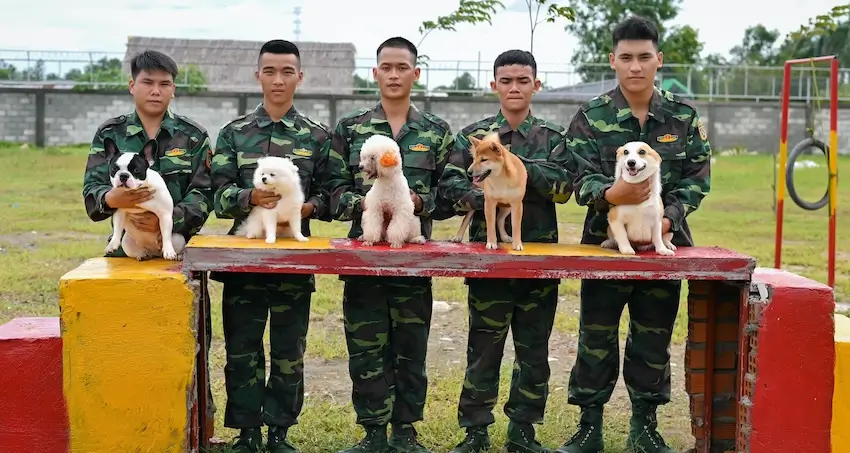 giá huấn luyện chó tại Thiên Khuyển