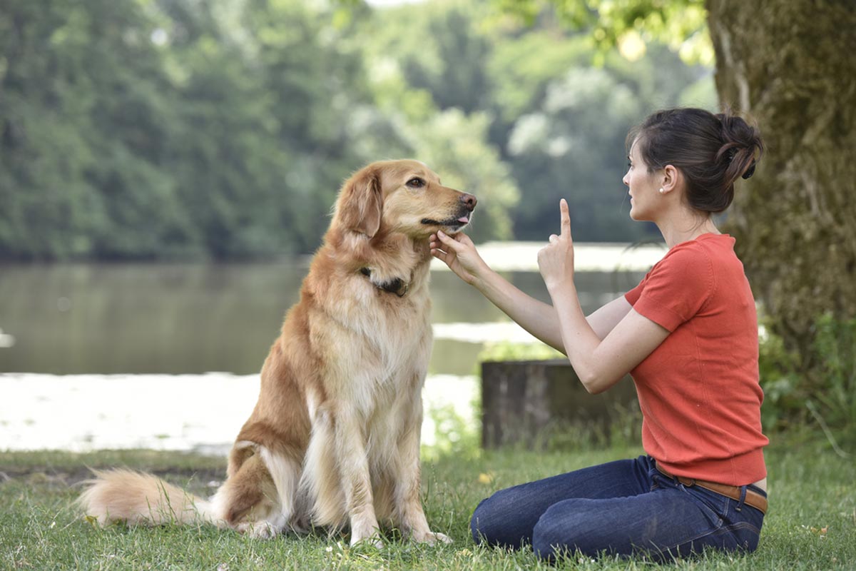 cô gái giơ ngón tay trước mặt chó ngồi trên bãi cỏ